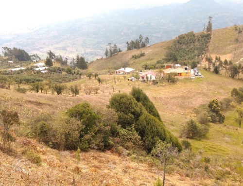 Calentamiento solar de agua